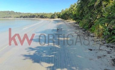 Beachfront Property for Sale in San Vicente, Palawan