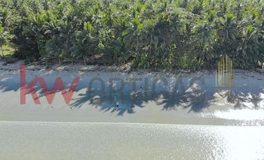 Beachfront Property for Sale in San Vicente, Palawan