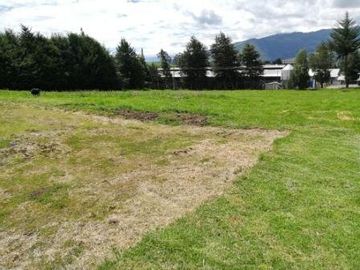 VENTA TERRENO INDUSTRIAL ALTO IMPACTO 10.000M2