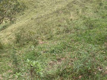 VENTA de FINCAS en MEDELLIN