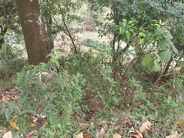 VENTA de FINCAS en MEDELLIN