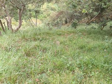 VENTA de FINCAS en MEDELLIN
