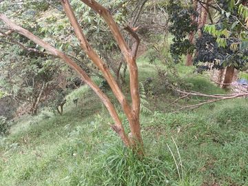 VENTA de FINCAS en MEDELLIN