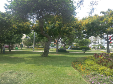 DEPARTAMENTO FRENTE A PARQUE EN VENTA SAN BORJA