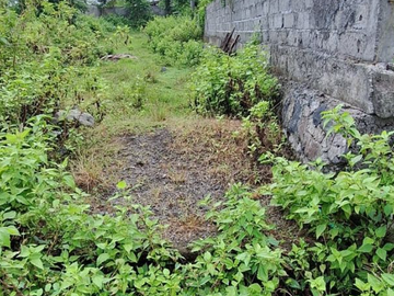 TANAH LANGKA ZONA PERDAGANGAN & JASA DI PANTAI NYANYI TABANAN