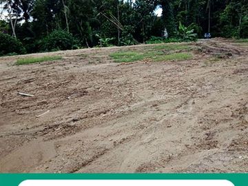 500 m Lotte Grosir Tegal: 1 Jt-an, SHM Per-Unit