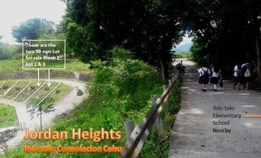 100 Sqm Lot for Sale in Consolacion Cebu Ready for Building Affordable