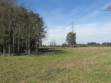 Casa en Venta en A ORILLA RUTA 5 SUR ,Cruce Pichirropulli - Paillaco