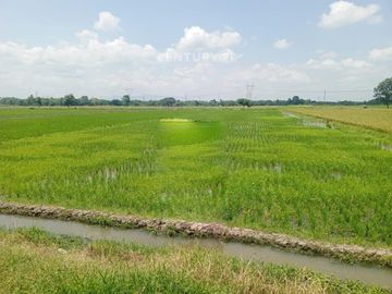 Tanah Di Lokasi Mainroad Jl Klaten Delanggu Juwiring Klaten