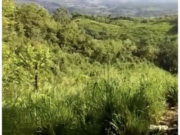 Rancho en Chiapas