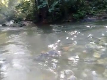 Rancho en Chiapas