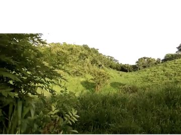 Rancho en Chiapas