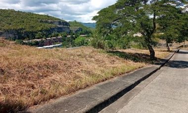Overlooking Affordable 151 Sqm Lot for Sale in Aspen Heights Consolacion Cebu with Mountain View