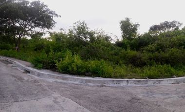 223 Sqm Corner Lot for Sale in Consolacion Cebu with high end amenities