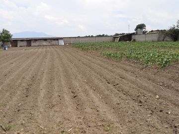 CALIMAYA TERRENO EN VENTA LA CONCHITA
