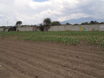 CALIMAYA TERRENO EN VENTA LA CONCHITA