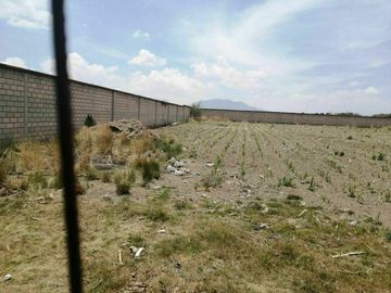 CALIMAYA TERRENO EN VENTA LA CONCHITA