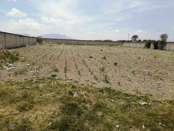 CALIMAYA TERRENO EN VENTA LA CONCHITA
