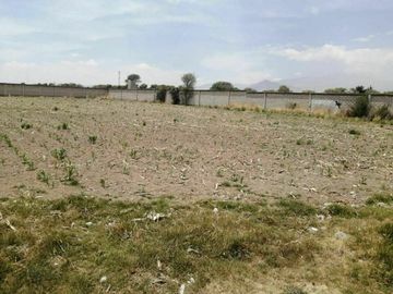 CALIMAYA TERRENO EN VENTA LA CONCHITA