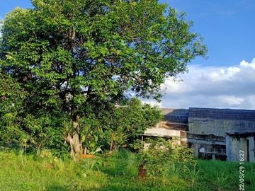TANAH KAVLING Dalam Perumahan Baranangsiang Indah Kota Bogor Strategis View Bagus