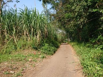 PROMO IDUL ADHA, DIJUAL RUMAH DI KOTA MALANG HARGA MURAH ADA POTONGAN HARGA