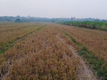 DIJUAL TANAH INDUSTRI WRINGINANOM GRESIK