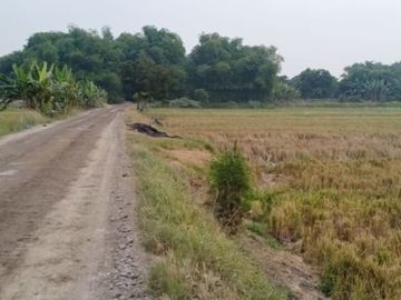 DIJUAL TANAH INDUSTRI WRINGINANOM GRESIK