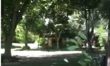 Beach Houses with Swimming Pool in Liloan, Cebu
