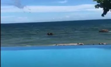 Beach Houses with Swimming Pool in Liloan, Cebu