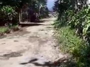 8,5 Ha Kebun Ada Mata Air, Cisomang Barat, Cikalong Wetan, Bandung Barat