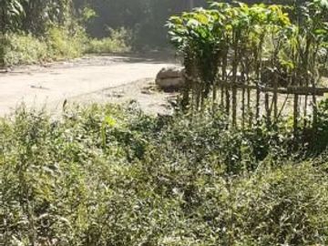 8,5 Ha Kebun Ada Mata Air, Cisomang Barat, Cikalong Wetan, Bandung Barat