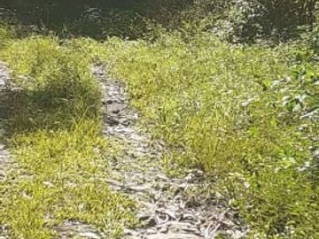 8,5 Ha Kebun Ada Mata Air, Cisomang Barat, Cikalong Wetan, Bandung Barat