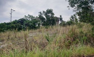 163 Sqm Vista Grande Lot for Sale in Bulacao Talisay Cebu City