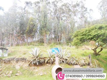 Quinta de Venta – Paute – Huertos Uzupud – 2500m2*  Terreno (Q-115)