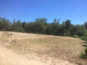 Tanah Kapling SHM, Pesona Mojayan Klaten Standar Perumahan