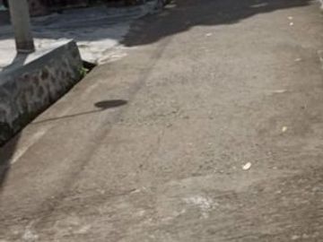 Tanah ngargoyoso arah kemuning