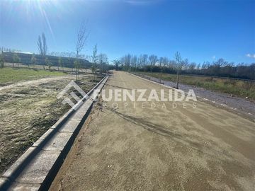 Sitio en venta en Talagante Colegio Carampangue