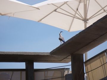Departamento FRACCIONAL en Venta, Acapulco Punta Marques