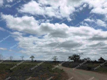 Hacienda Vendo Sabanilla, Pedro  Carbo,, Ecuador