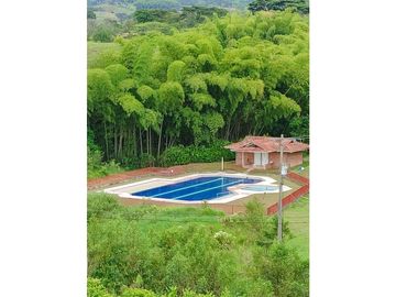 SE VENDE LOTE CAMPESTRE A 35 MINUTOS DE PEREIRA