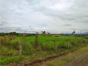 SE VENDE LOTE CAMPESTRE A 35 MINUTOS DE PEREIRA