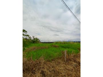 SE VENDE LOTE CAMPESTRE A 35 MINUTOS DE PEREIRA