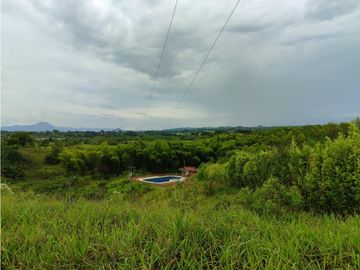 SE VENDE LOTE CAMPESTRE A 35 MINUTOS DE PEREIRA