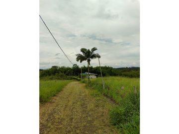 SE VENDE LOTE CAMPESTRE A 35 MINUTOS DE PEREIRA