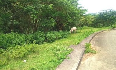 168 SQM Residential Lot for Sale near Talamban Cebu City Greenwoods Subdivision