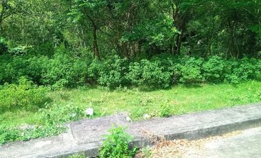 168 SQM Residential Lot for Sale near Talamban Cebu City Greenwoods Subdivision