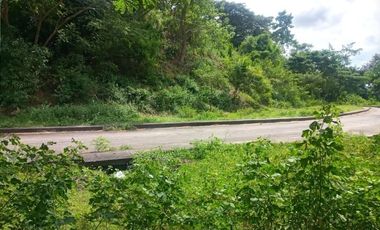 168 SQM Residential Lot for Sale near Talamban Cebu City Greenwoods Subdivision