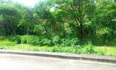 168 SQM Residential Lot for Sale near Talamban Cebu City Greenwoods Subdivision