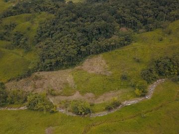 Vendo finca ganadera en Paquisha