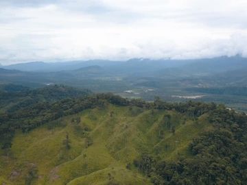 Vendo finca ganadera en Paquisha